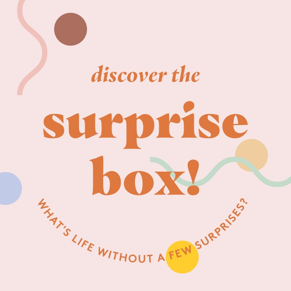 Surprise Box - High End Mystery Items - EUC - $70